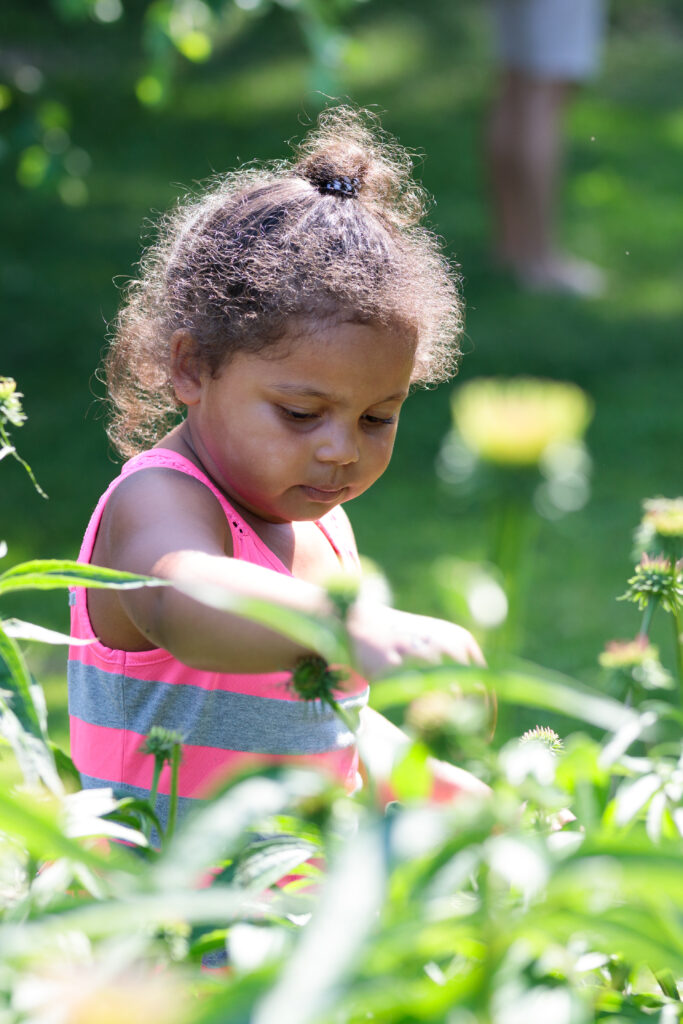 Preschool aged girl outdoors with pink tank top and dark skin and hair holds out her hand over a field of leafy plants